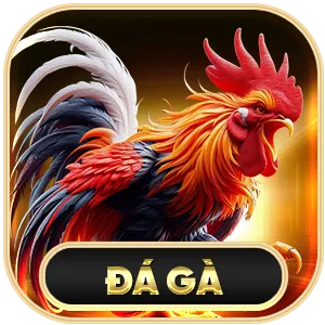 Đá Gà New88